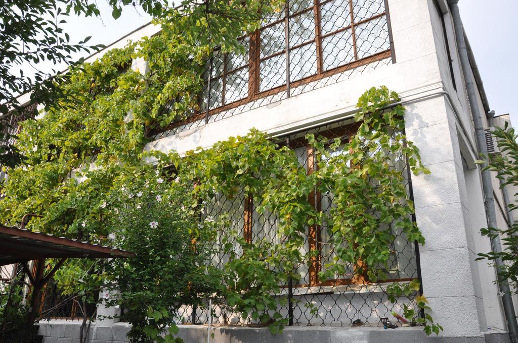 Villa Ivana Oděsa Exteriér fotografie